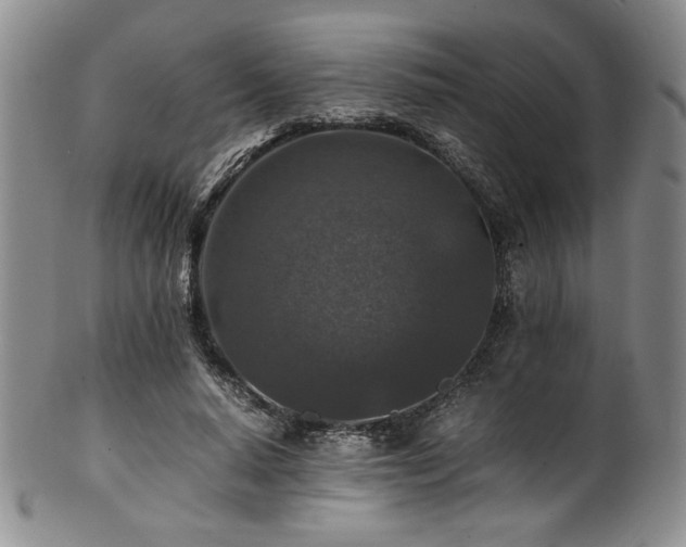 X0000101710640200807101606