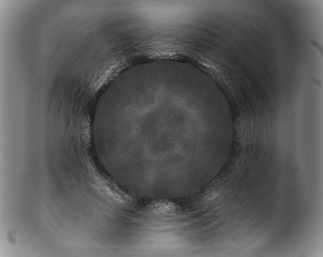 X0000101710642200807101606