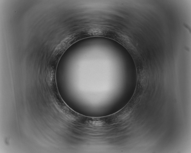 X0000101710645200807101606