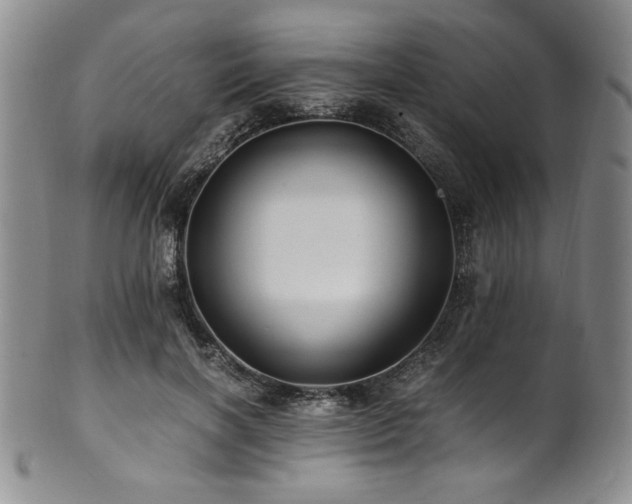 X0000101710646200807101606