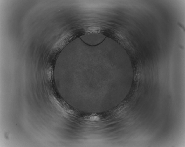 X0000101710647200807101606
