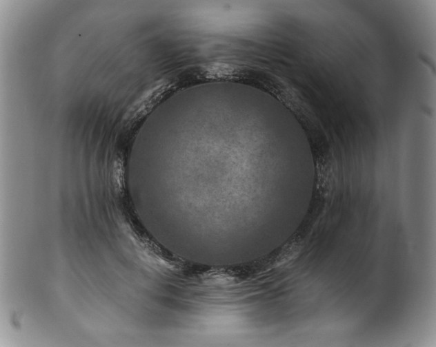X0000101710648200807101606