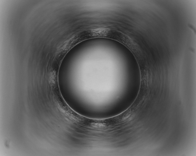 X0000101710649200807101606