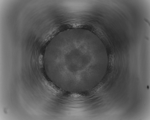 X0000101710650200807101606