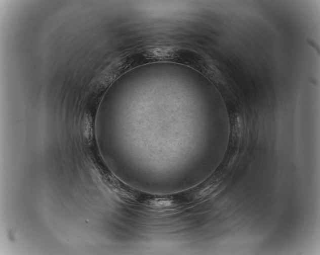 X0000101710651200807101606