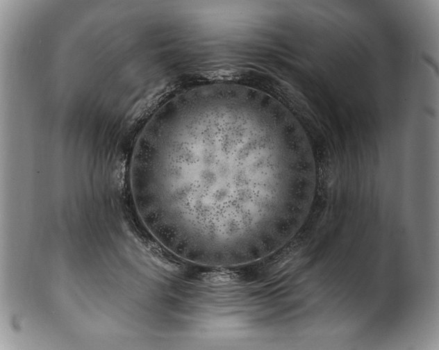 X0000101710652200807101606