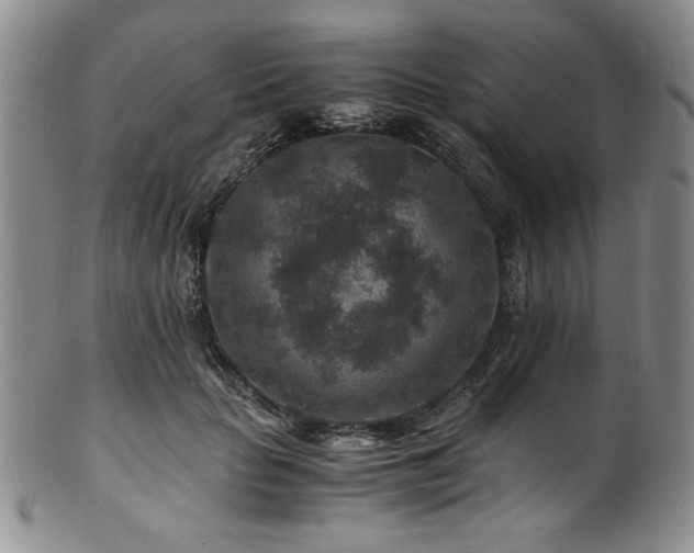 X0000101710653200807101606