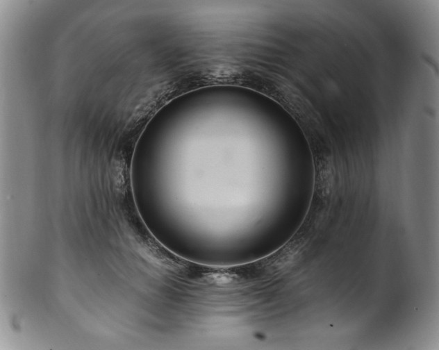 X0000101710654200807101606