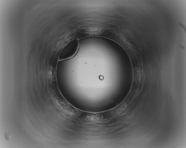 X0000101710655200807101606