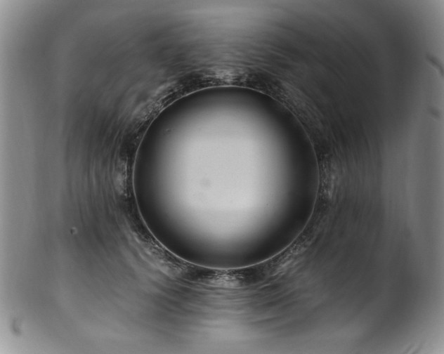 X0000101710656200807101606