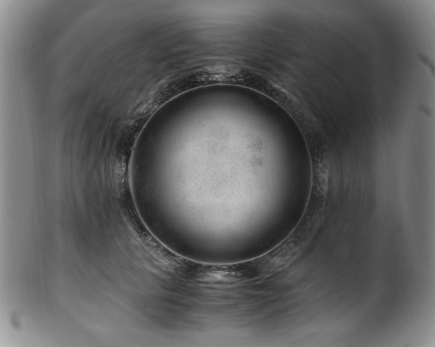 X0000101710657200807101606
