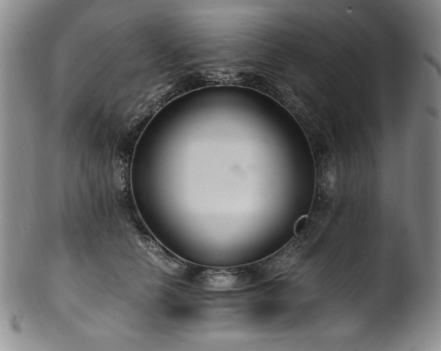X0000101710658200807101606