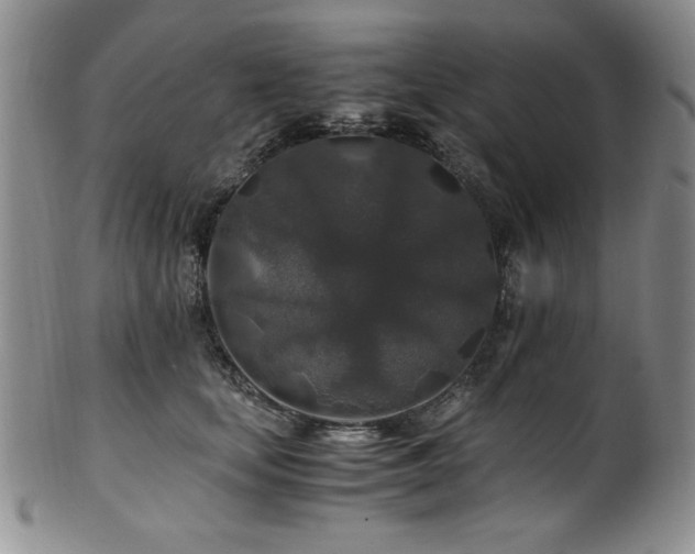 X0000101710659200807101606