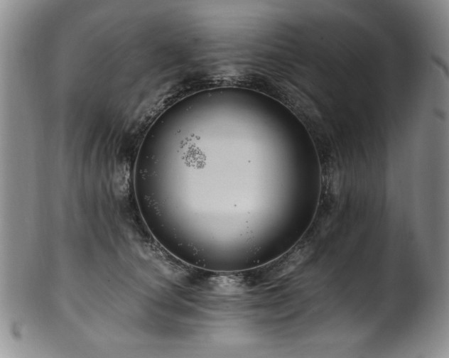 X0000101710660200807101606