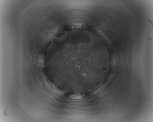 X0000101710661200807101606