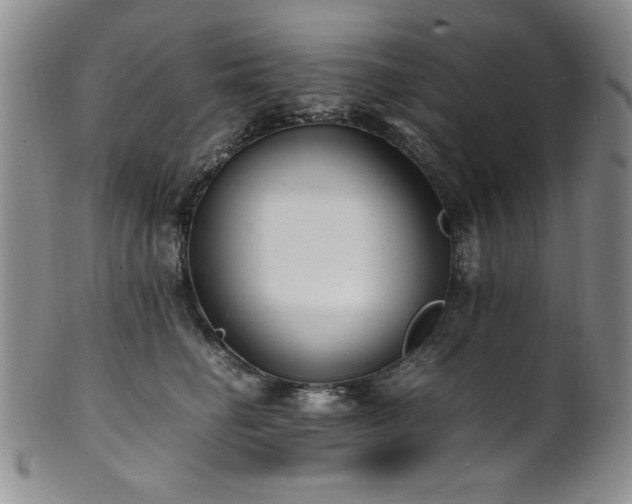 X0000101710662200807101606