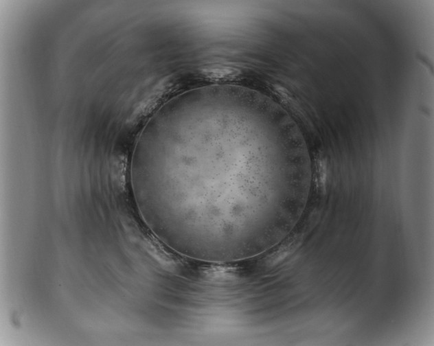 X0000101710664200807101606