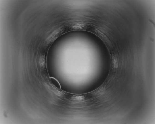 X0000101710665200807101606