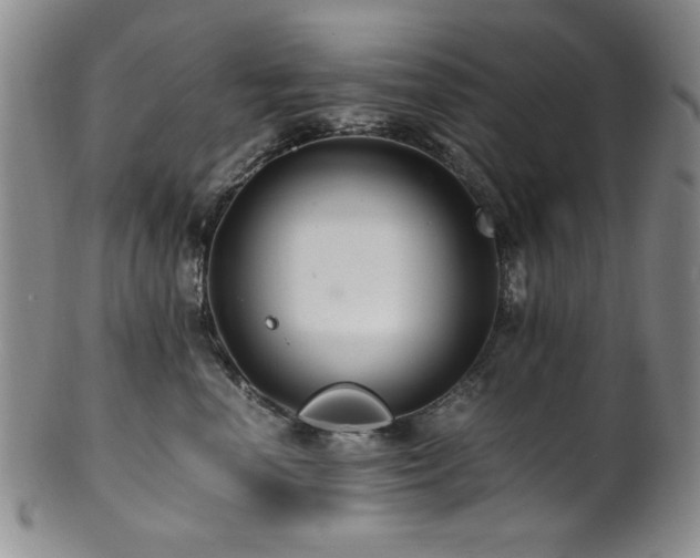 X0000101710666200807101606