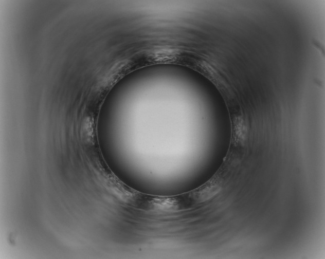 X0000101710667200807101606