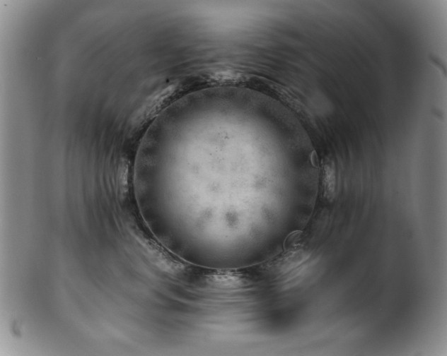 X0000101710668200807101606