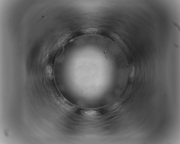 X0000101710669200807101606
