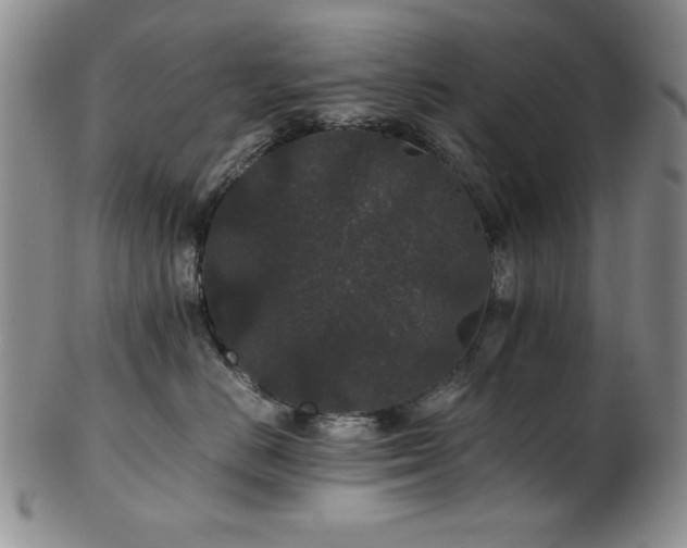 X0000101710670200807101606