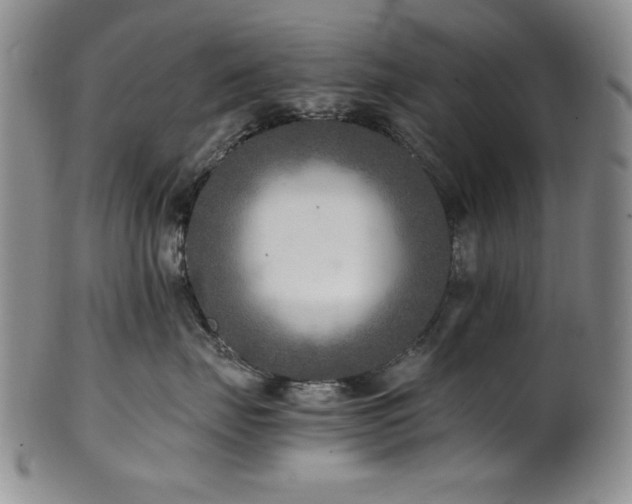 X0000101710671200807101606