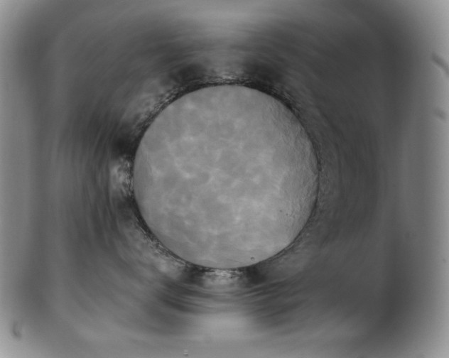 X0000101710672200807101606