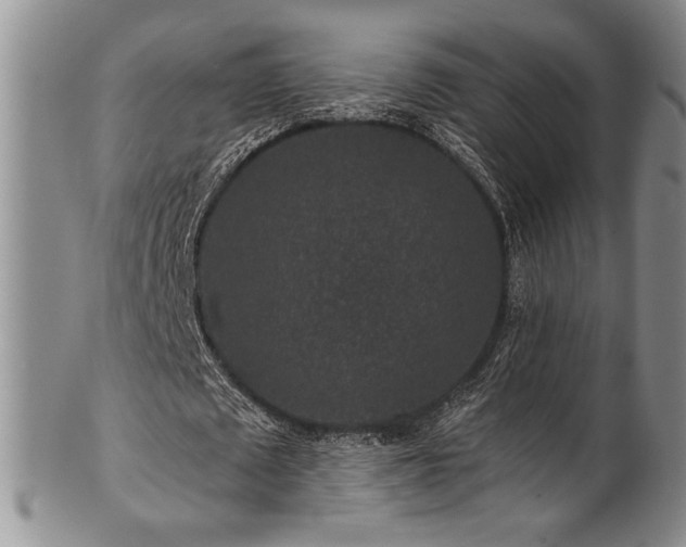 X0000101710673200807101605