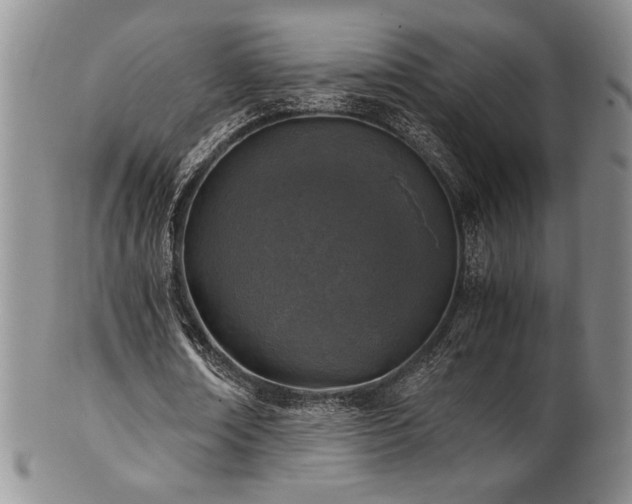 X0000101710674200807101605