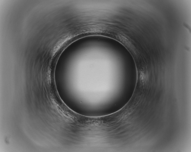 X0000101710676200807101605