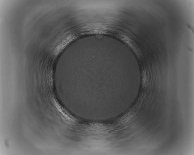 X0000101710677200807101605