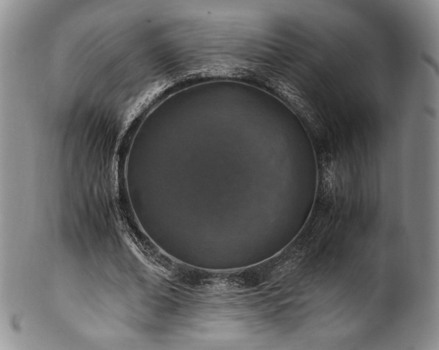 X0000101710678200807101605