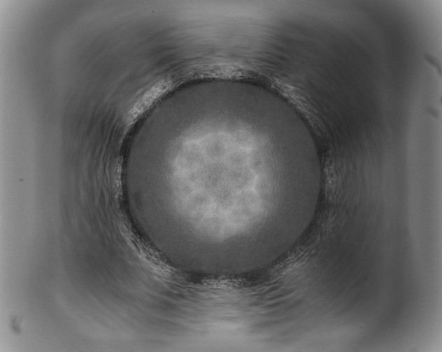 X0000101710679200807101605