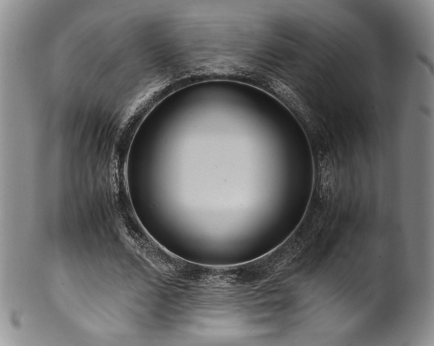 X0000101710680200807101605