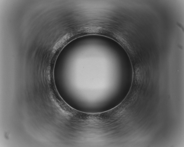 X0000101710682200807101605