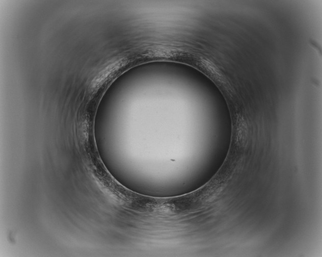 X0000101710683200807101605