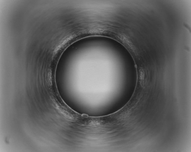 X0000101710684200807101605