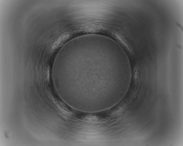 X0000101710685200807101605