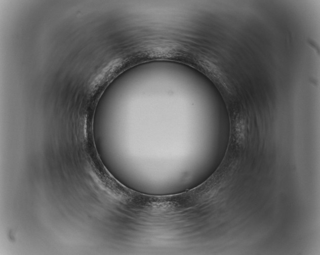 X0000101710686200807101605