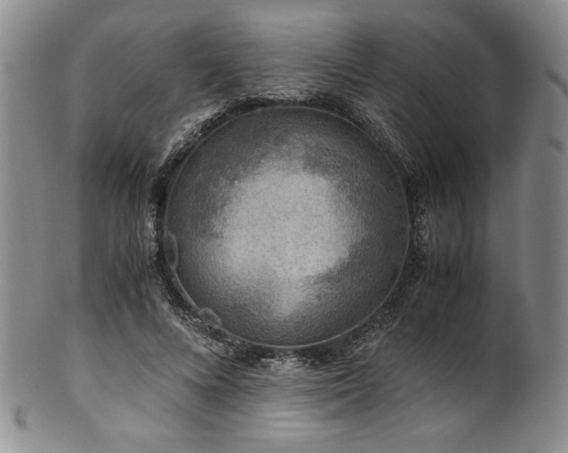 X0000101710688200807101605