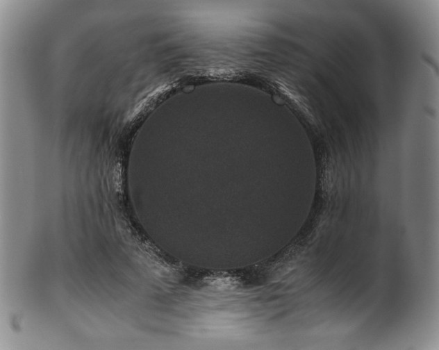 X0000101710689200807101605