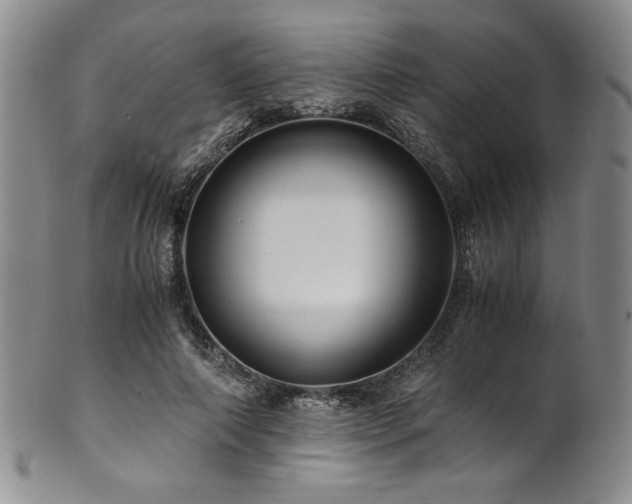 X0000101710690200807101605