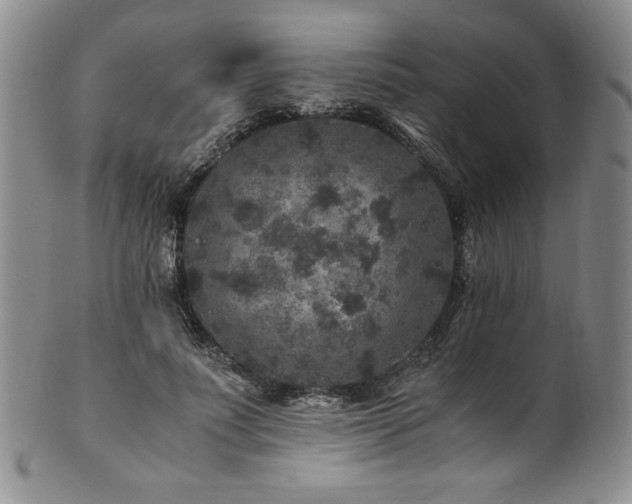 X0000101710691200807101605