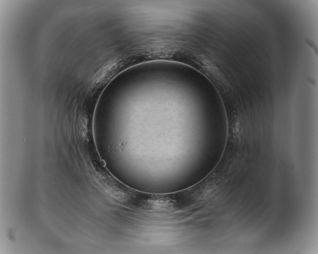 X0000101710693200807101605