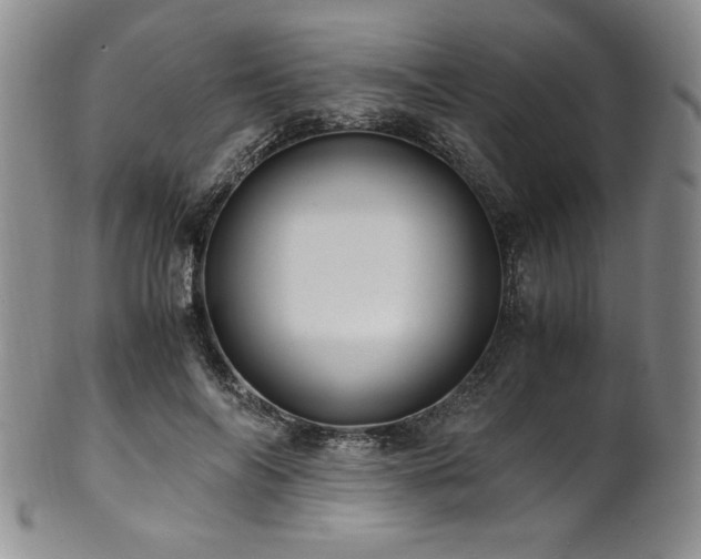X0000101710694200807101605