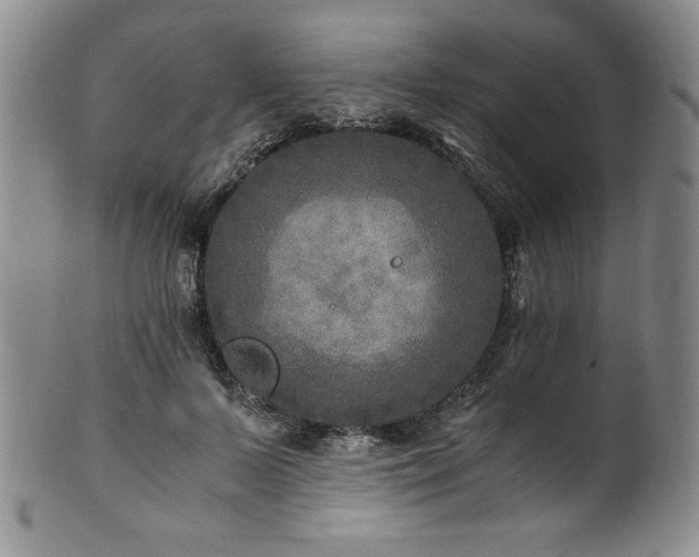 X0000101710695200807101605