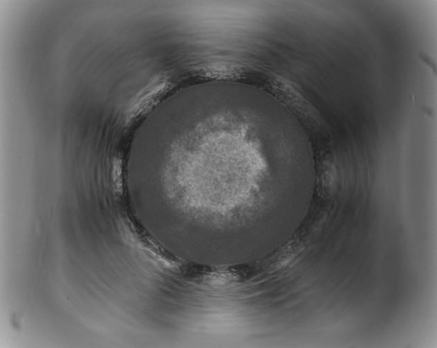 X0000101710696200807101605