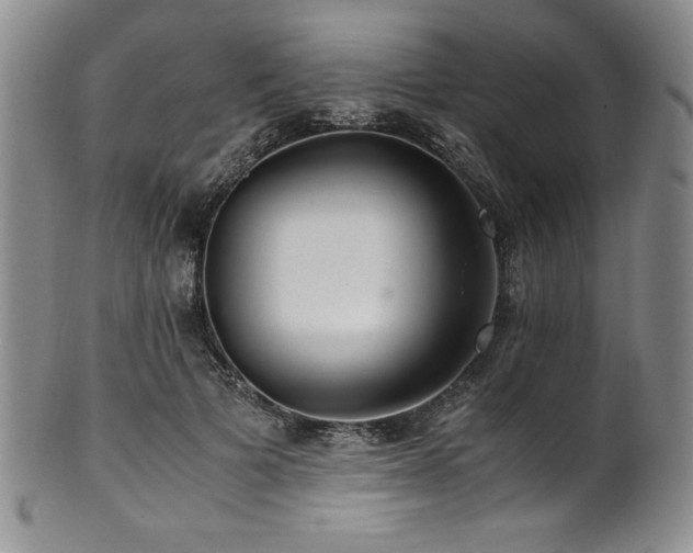 X0000101710697200807101605
